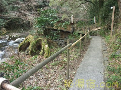 あせび野95