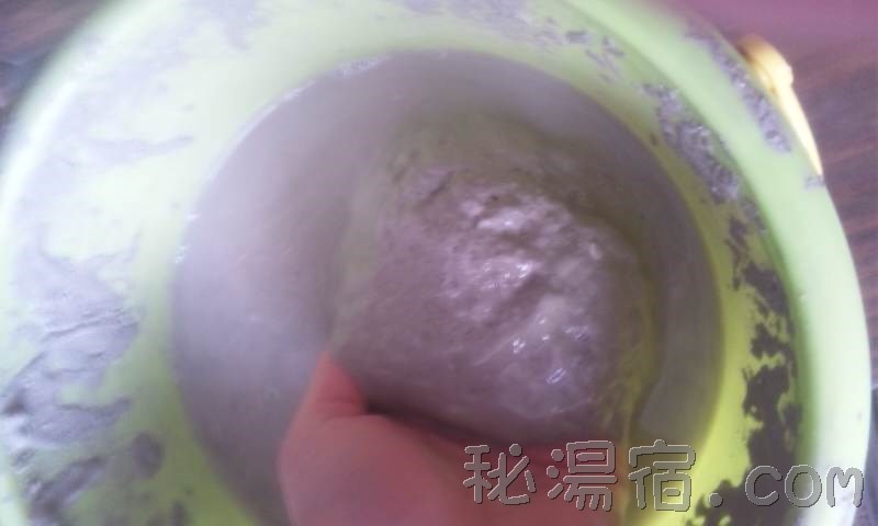 湯荘白樺11