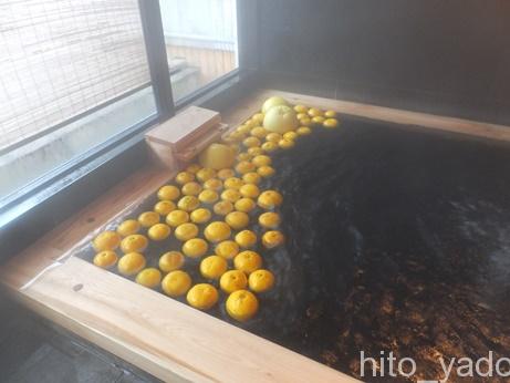 日奈久温泉 金波桜