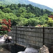 葛温泉 仙人閣の混浴露天風呂と山の景色