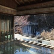 【群馬】かやぶきの郷 薬師温泉 旅籠 日帰り入浴 ★★