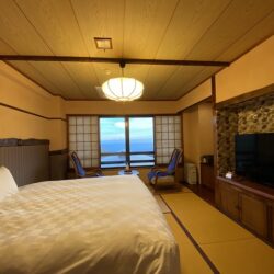 【栃木】大丸温泉 大丸温泉旅館 宿泊 その1 お部屋編 ★★★★