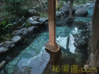 あせび野54