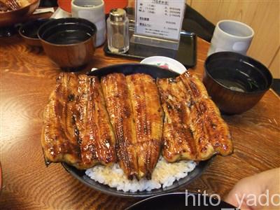 【静岡】伊豆半島～三島市周辺の観光スポットとグルメ