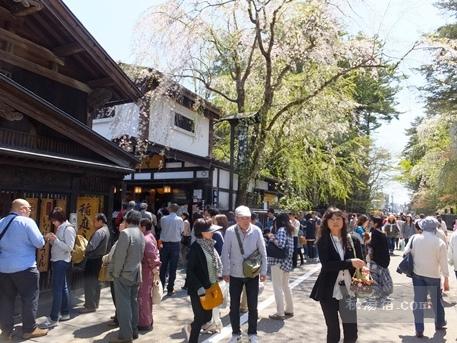 角館の桜2015-30