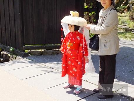 角館の桜2015-26