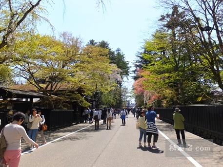 角館の桜2015-29