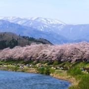 お花見ができる 花見露天風呂のある温泉宿