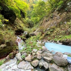 【新潟】妙高 燕温泉 河原の湯 [野湯] ★★★★