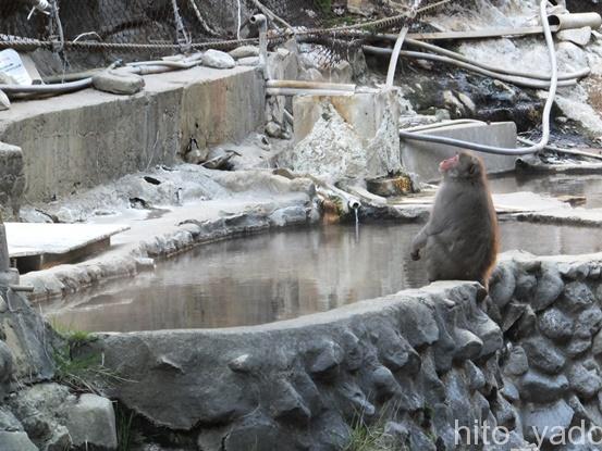 【長野】地獄谷温泉 後楽館 宿泊 その3 お風呂編