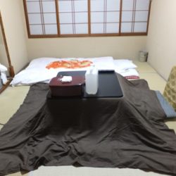 【栃木】塩原温泉郷 元湯温泉 ゑびすや 宿泊 その1 お部屋編 ★★★★