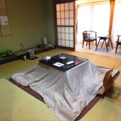 【埼玉】秩父 柴原温泉 かやの家 宿泊 その1 お部屋編 ★★★