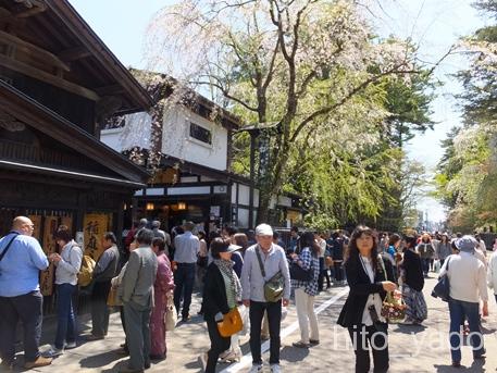 角館の桜2015-30