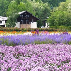 【旅行記】7泊8日 北海道 大雪山 29湯 秘湯巡りの旅 2015初夏