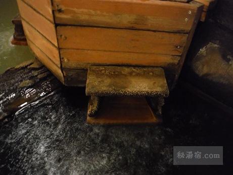 湧駒荘-本館風呂シコロの湯13