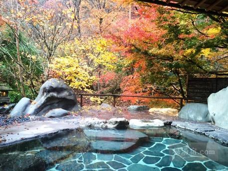 たんげ温泉 美郷館-風呂30