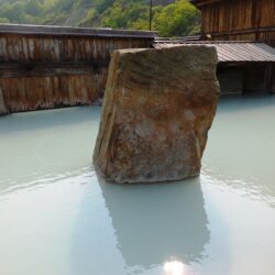 【秋田】泥湯温泉 奥山旅館 日帰り入浴 & 宿泊 おまけで蕎麦カフェゆの花 ★★★★