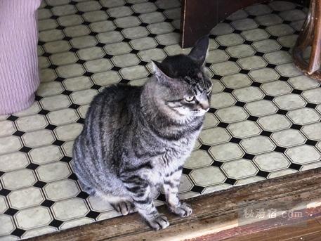 東鳴子温泉 いさぜん旅館37