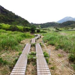 【大分】法華院山荘までの道のり ～長者原登山口～