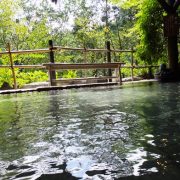 【大分】天ケ瀬温泉 山荘 天水 日帰り入浴 ★★★★