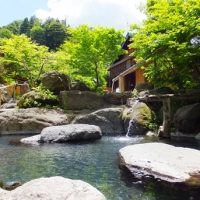 関東の混浴のある温泉