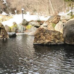 【群馬】川古温泉 浜屋旅館 日帰り入浴 ★★★+