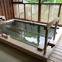 【福島】尾瀬檜枝岐温泉 旅館ひのえまた 日帰り入浴 ★★★