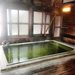 【長野】熊の湯温泉 熊の湯ホテル 日帰り入浴 ★★★★