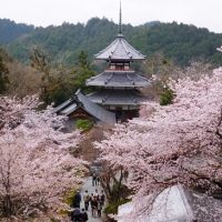 奈良県の混浴のある温泉