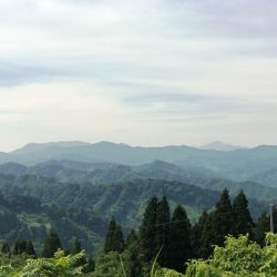 【新潟】まつだい芝峠温泉 雲海 日帰り入浴 ★★★★