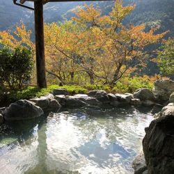 新祖谷温泉 ホテルかずら橋の女性用露天風呂と桜の木