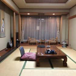 【栃木】塩の湯温泉 明賀屋本館 宿泊 その1 お部屋編 ★★★+