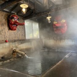 栃木県の混浴のある温泉 24湯