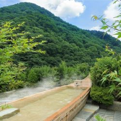 【栃木】鬼怒川温泉 あさやホテル 宿泊 その3 お風呂編