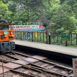 【富山】黒部峡谷 トロッコ電車 宇奈月駅～黒薙駅～鐘釣駅～欅平駅までの道のりと各駅の情報