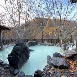 【岩手】松川温泉 峡雲荘 宿泊 その3 お風呂編