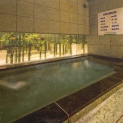 【栃木】スーパーホテル小山 天然温泉「出流の湯」宿泊 ★★★
