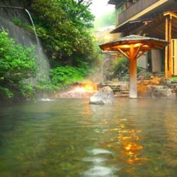 【栃木】大丸温泉 大丸温泉旅館 宿泊 その3 お風呂編